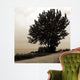 Silhouette I Wall Decal