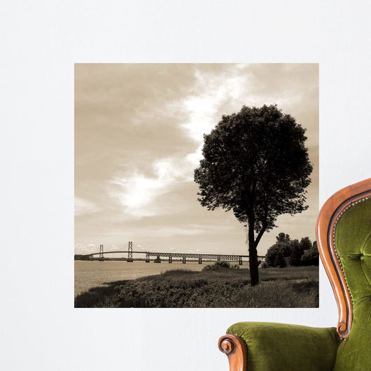 Silhouette Ii Wall Decal