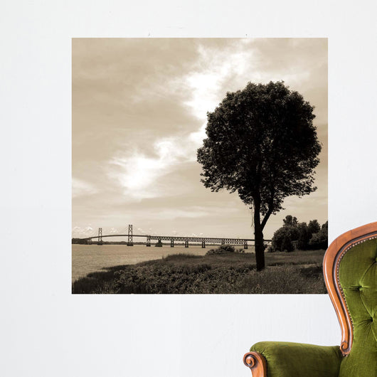 Silhouette Ii Wall Decal