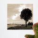 Silhouette Ii Wall Decal