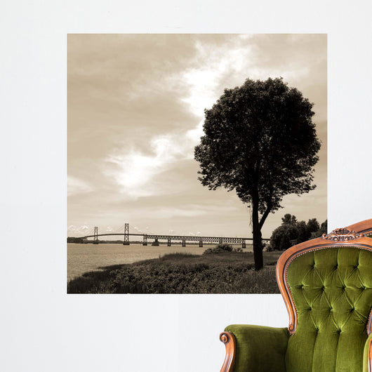 Silhouette Ii Wall Decal