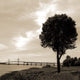 Silhouette Ii Wall Decal