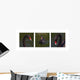 Black Swan Trio Wall Decal