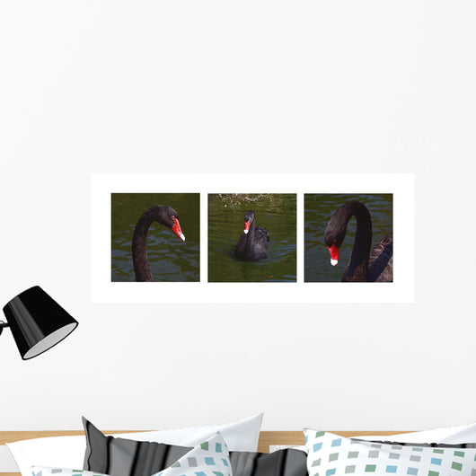 Black Swan Trio Wall Decal