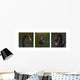 Black Swan Trio Wall Decal