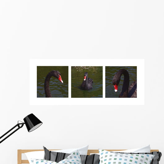 Black Swan Trio Wall Decal