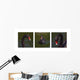 Black Swan Trio Wall Decal