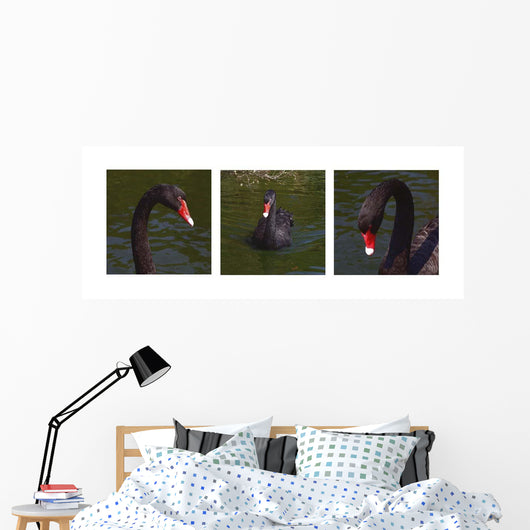 Black Swan Trio Wall Decal