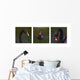 Black Swan Trio Wall Decal
