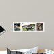 Butterfly Trio Wall Decal