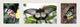 Butterfly Trio Wall Decal