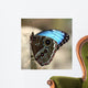 Blue Butterfly Color Wall Decal