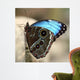 Blue Butterfly Color Wall Decal