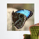 Blue Butterfly Color Wall Decal