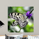 Bw Butterfly Purple Flower Wall Decal