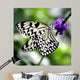 Bw Butterfly Purple Flower Wall Decal