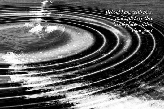 Ripple Effect Wall Decal