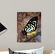 Bright Colors Butterfly Wall Decal