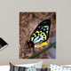 Bright Colors Butterfly Wall Decal