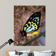 Bright Colors Butterfly Wall Decal
