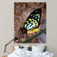 Bright Colors Butterfly Wall Decal