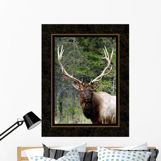 Large Elk Wall Decal