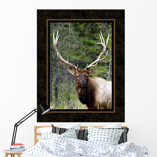 Large Elk Wall Decal