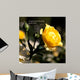 Summer Blooms Wall Decal