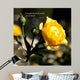 Summer Blooms Wall Decal