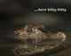 Here Kitty Gator Wall Decal