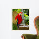 Parrot Ii with Words Wall Decal