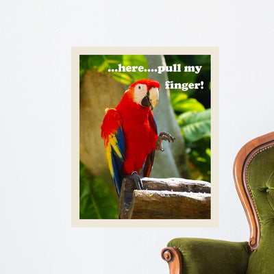 Parrot Ii with Words Wall Decal shown on a wall