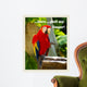 Parrot Ii with Words Wall Decal