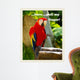 Parrot Ii with Words Wall Decal