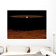 Across Hypothetical Barren Alien Wall Decal
