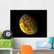 Illustration Rocky and Variegated Wall Decal