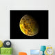Illustration Rocky and Variegated Wall Decal