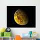 Illustration Rocky and Variegated Wall Decal