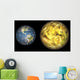 Illustration Comparing Size Extrasolar Wall Decal