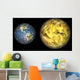 Illustration Comparing Size Extrasolar Wall Decal