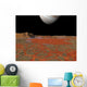 Artist's Concept across Pool Wall Decal