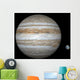 Artist's Concept Comparing Size Wall Decal Design 2