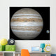Artist's Concept Comparing Size Wall Decal Design 2