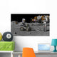 Artist's Concept Future Lunar Wall Decal
