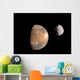 Artist's Concept Mars and Wall Decal Design 2