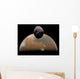 Artist's Concept Mars and Wall Decal Design 1