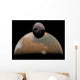 Artist's Concept Mars and Wall Decal Design 1