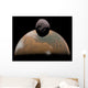 Artist's Concept Mars and Wall Decal Design 1