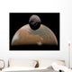 Artist's Concept Mars and Wall Decal Design 1