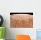 Illustration Argyre Impact Basin Wall Decal